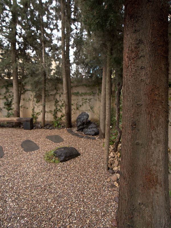 Basalt stepping stones and a moss-ringed black rock in gravel, seen between tall cypress trunks, with a bench and dark boulders at the back.
